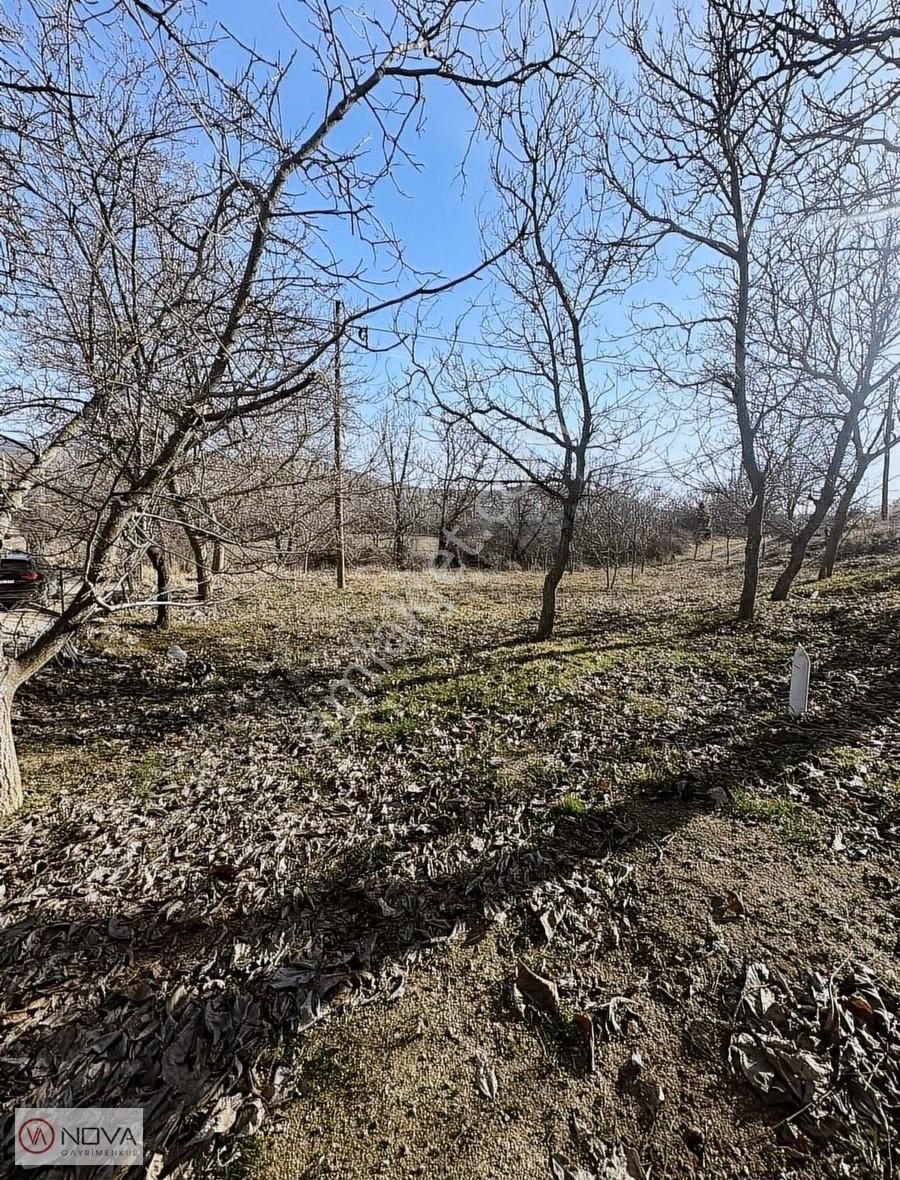 Pazaryeri Sarıdayı Köyü Satılık Tarla Bilecikte Resmi Ve Kadastrol Yolu Olan Köyün Dibinde Fırsat