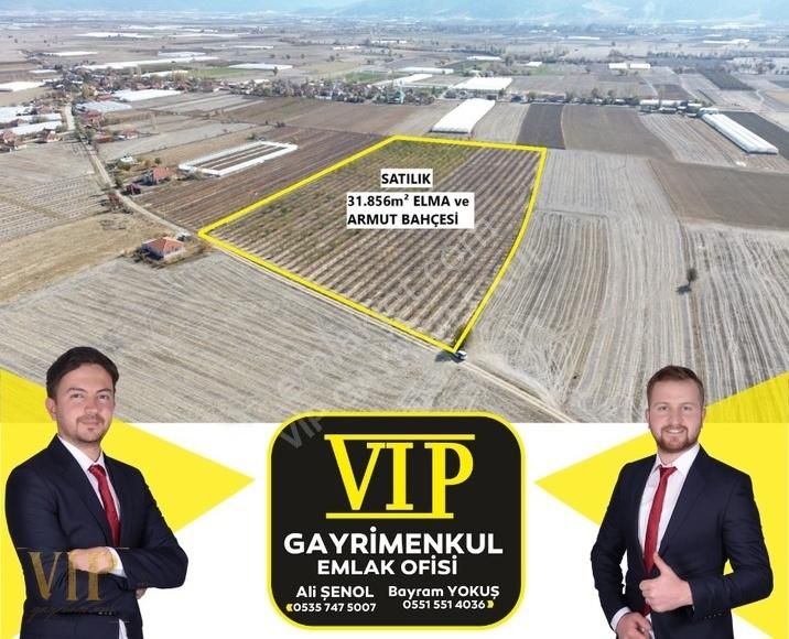 Elmalı Sarılar Satılık Bağ & Bahçe Vıp Gayrimenkul'den Sarılar Mah. 31.856m² Fırsat Uygun Arazi