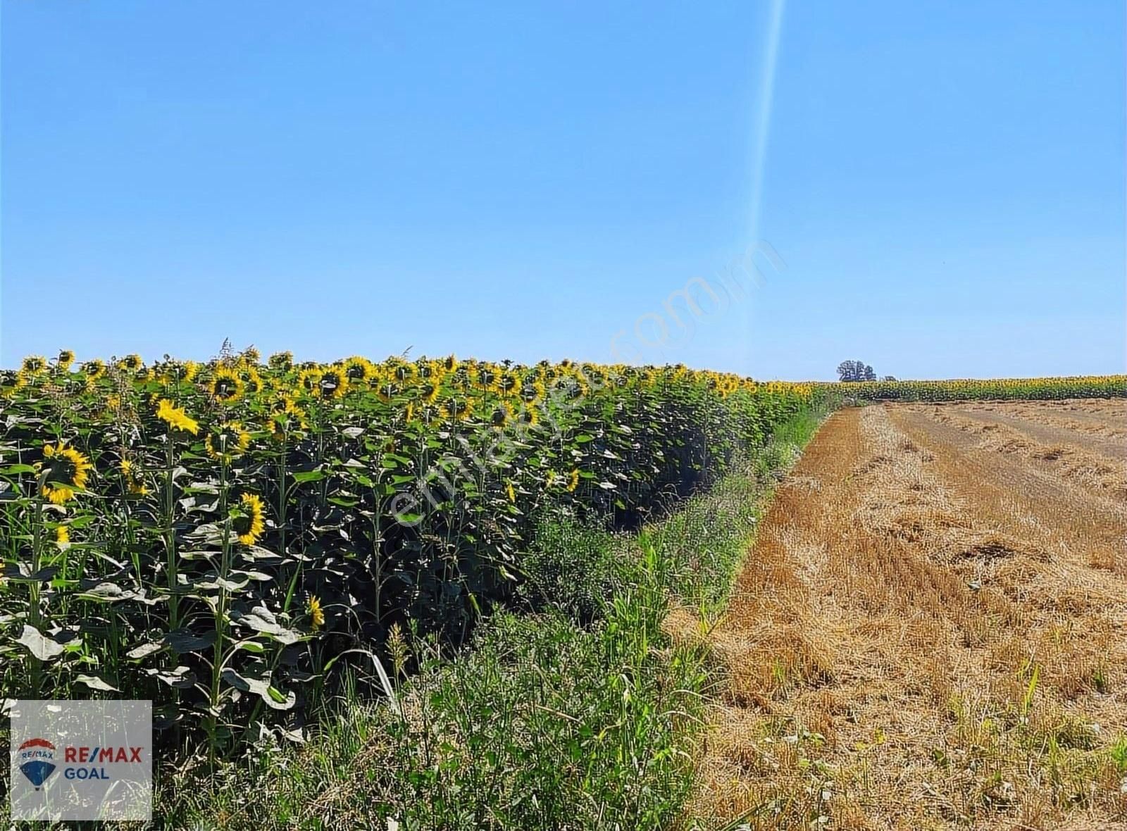 Edirne Merkez Bosna Köyü Satılık Tarla Edirne Karaağaç'ta Yunanıstan Sınırına 200m,11700m2 Müfrez Tarla