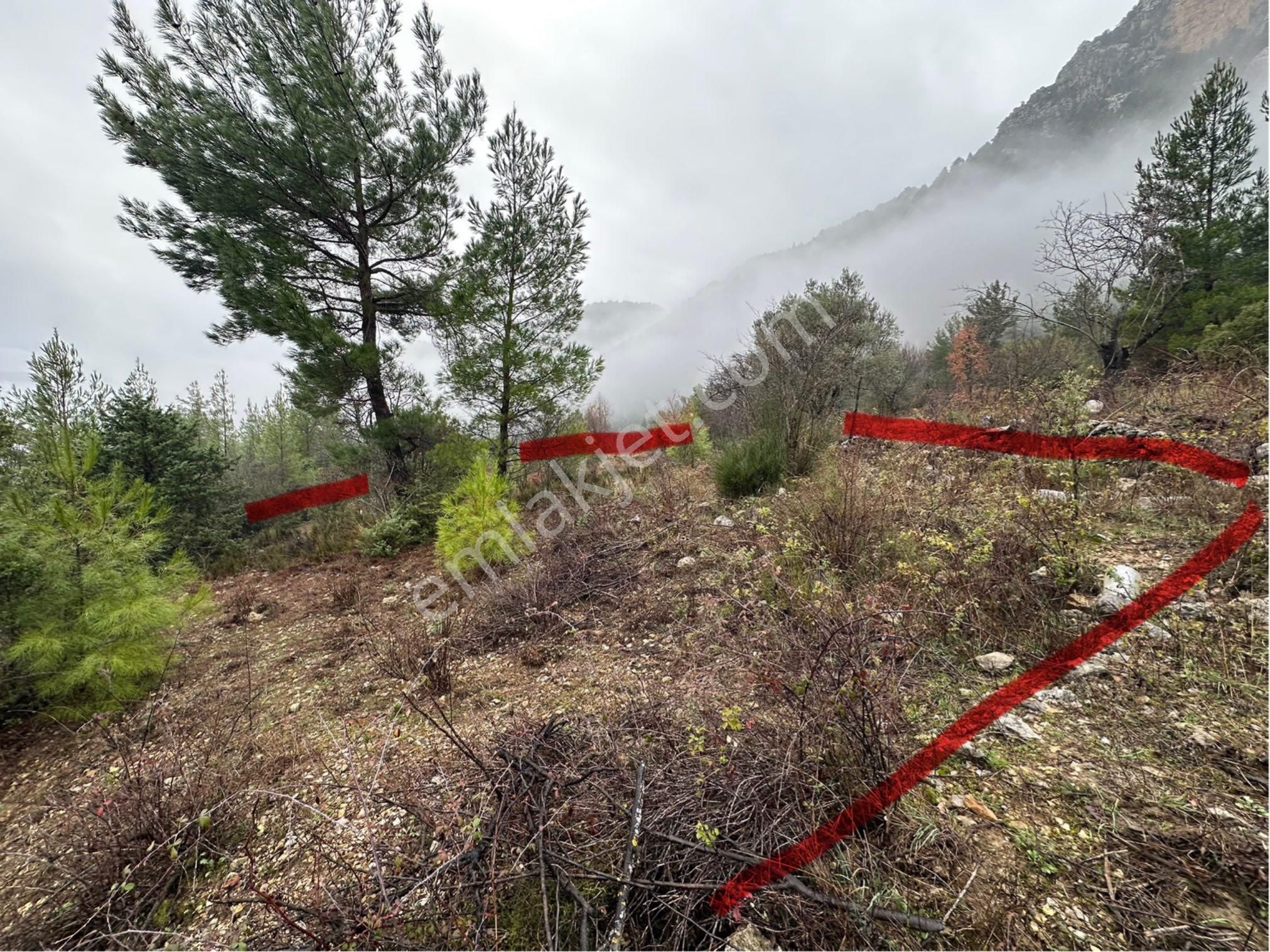 Antalya Akseki Aşağıaşıklar Satılık Tek Tapu Tarla - Görsel 2