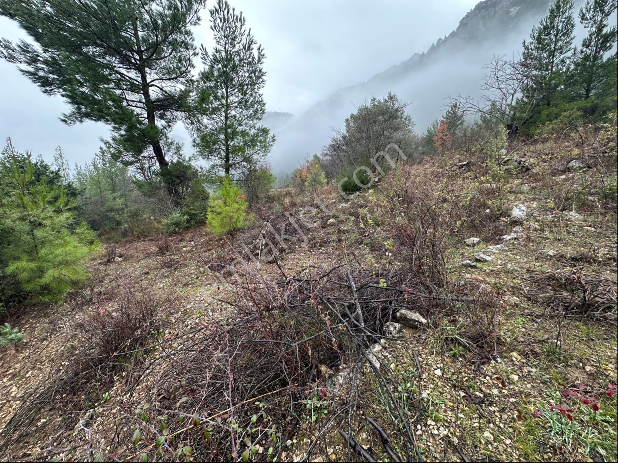 Antalya Akseki Aşağıaşıklar Satılık Tek Tapu Tarla - Görsel 4