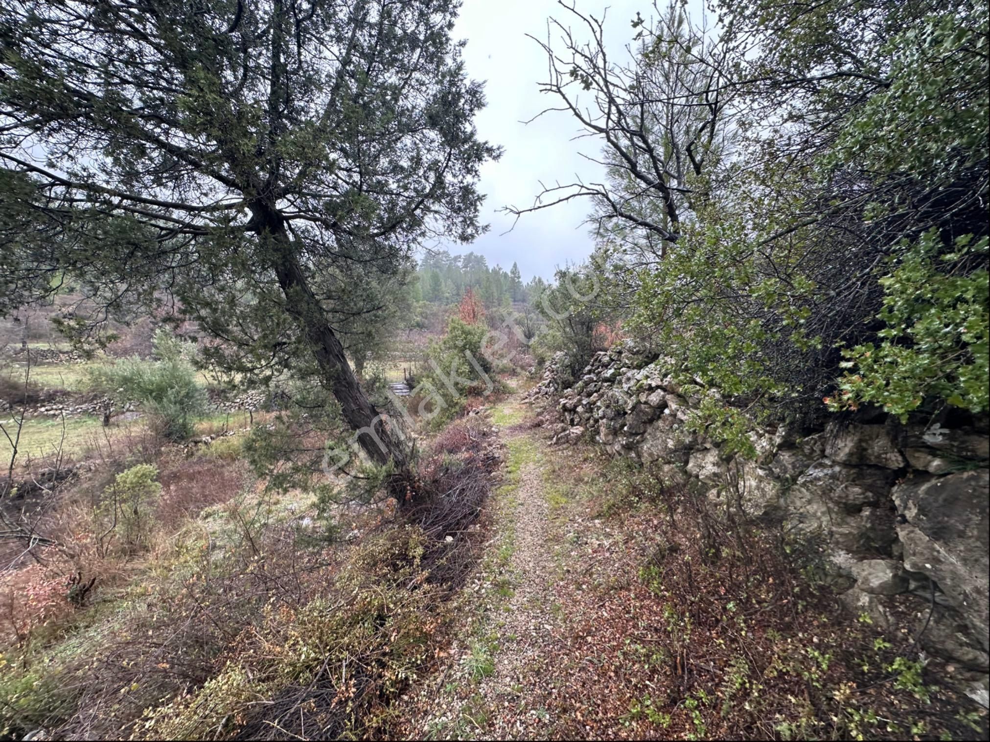 Antalya Akseki Aşağıaşıklar Satılık Tek Tapu Tarla - Görsel 7