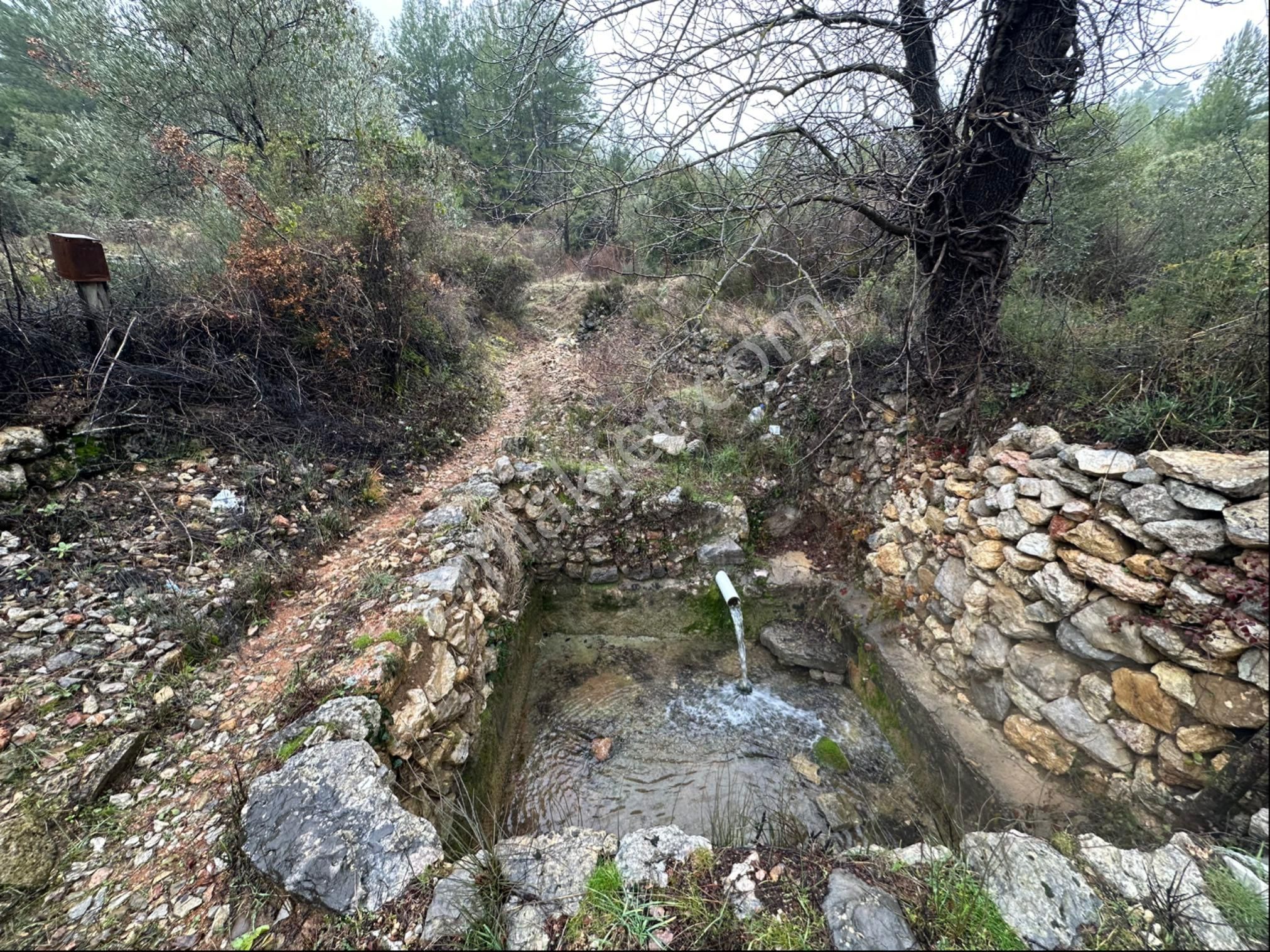 Antalya Akseki Aşağıaşıklar Satılık Tek Tapu Tarla - Görsel 9