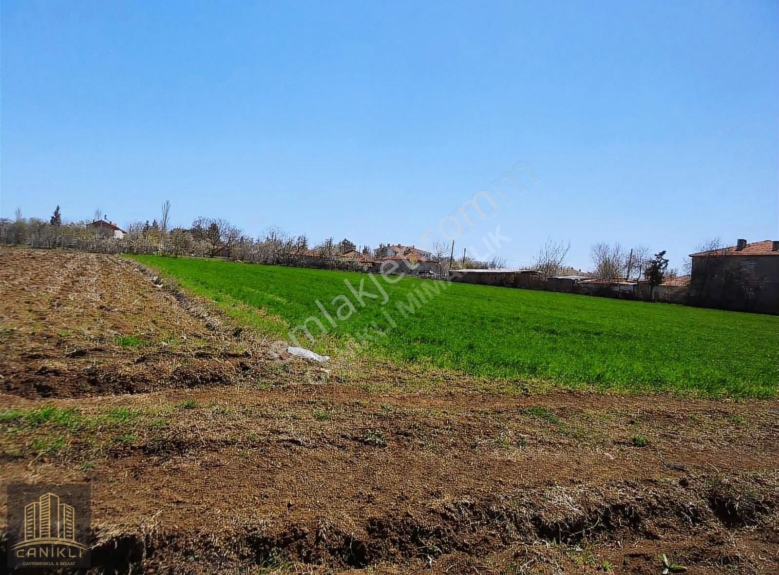 Malkara Yaylagöne Satılık Tarla Tekirdağ Malkara Yaylagöne İmar Yanı Köy İçi 5500m² Satılık Arsa