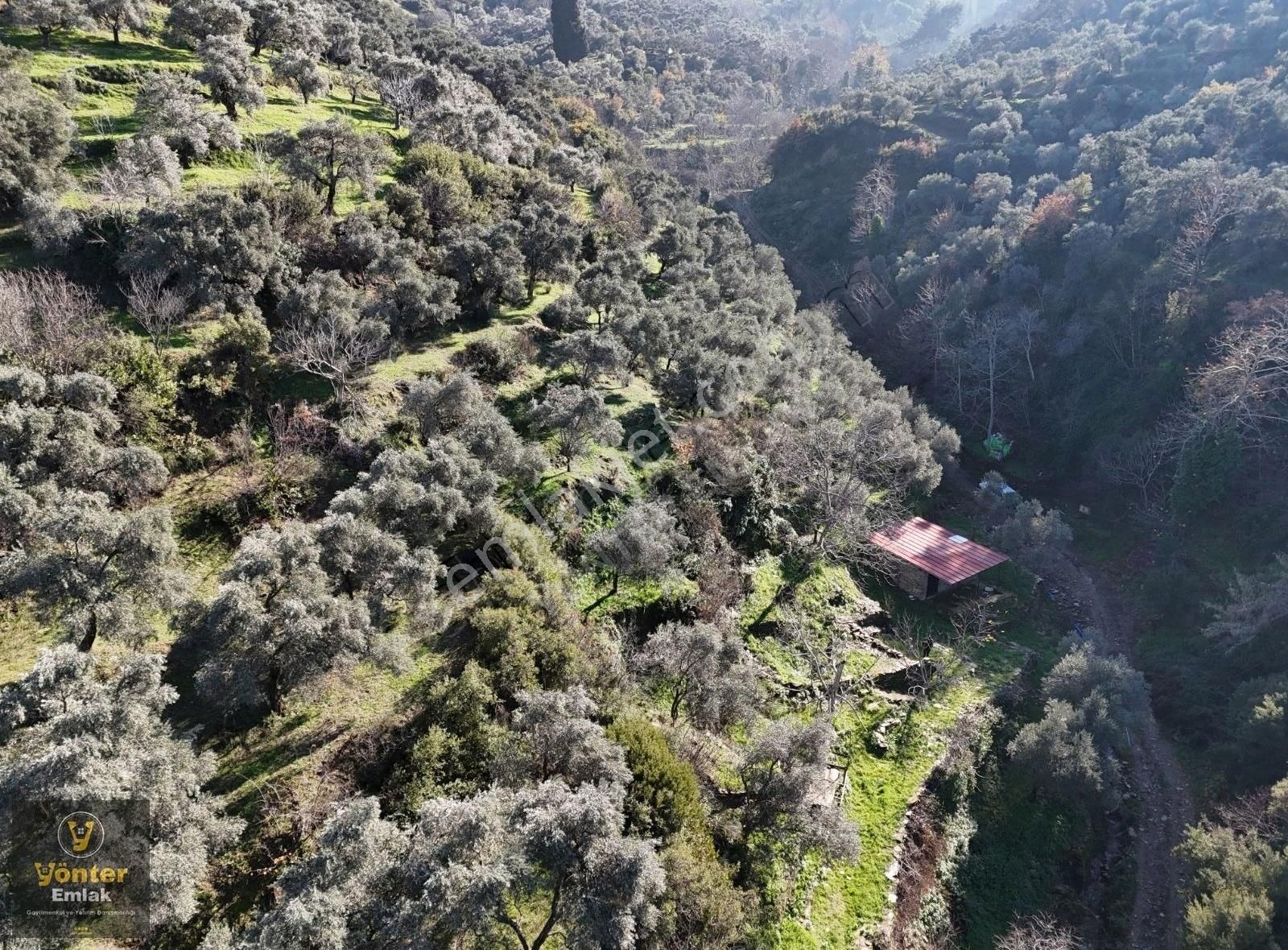 Yönter Emlaktan Satılık Derekahve Üzeri Kargır Evi Olan Bahçe - Görsel 27