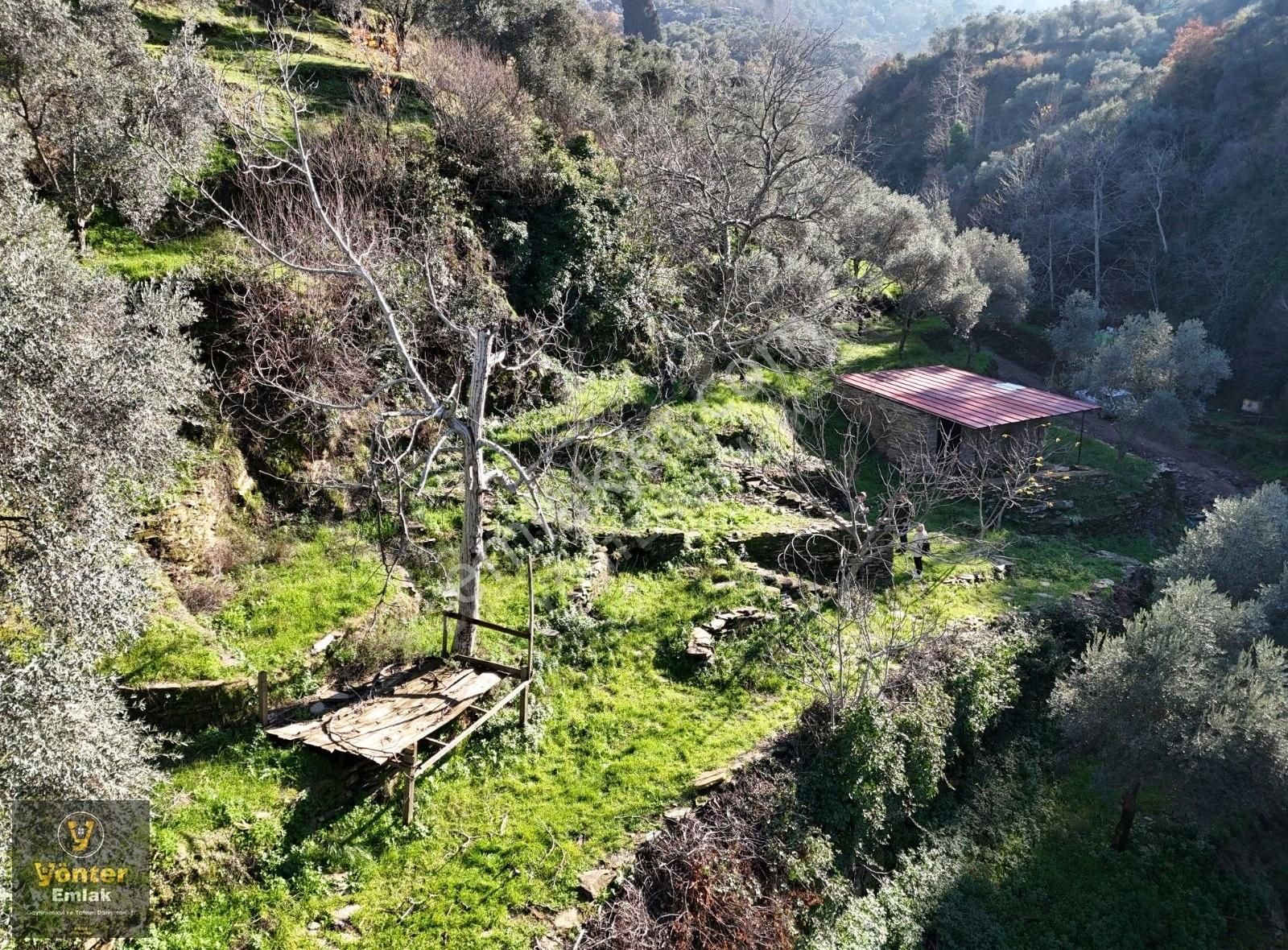 Yönter Emlaktan Satılık Derekahve Üzeri Kargır Evi Olan Bahçe - Görsel 22