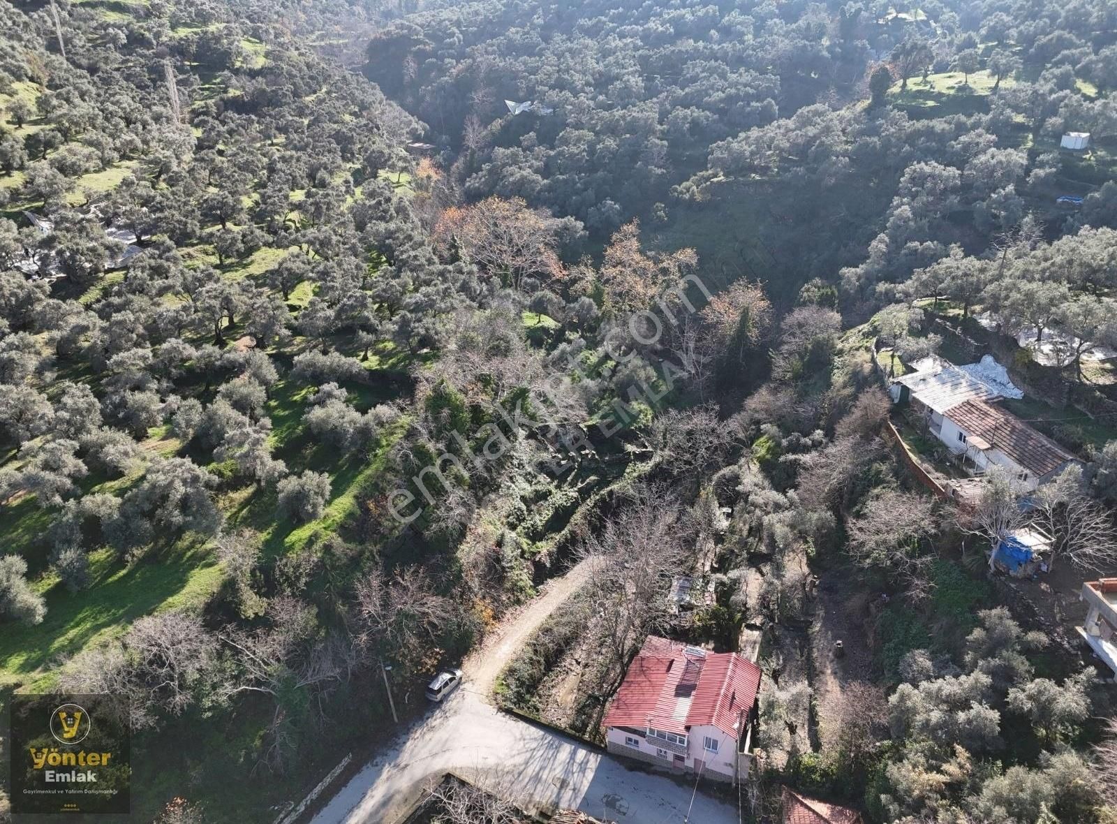 Yönter Emlaktan Satılık Derekahve Üzeri Kargır Evi Olan Bahçe - Görsel 29