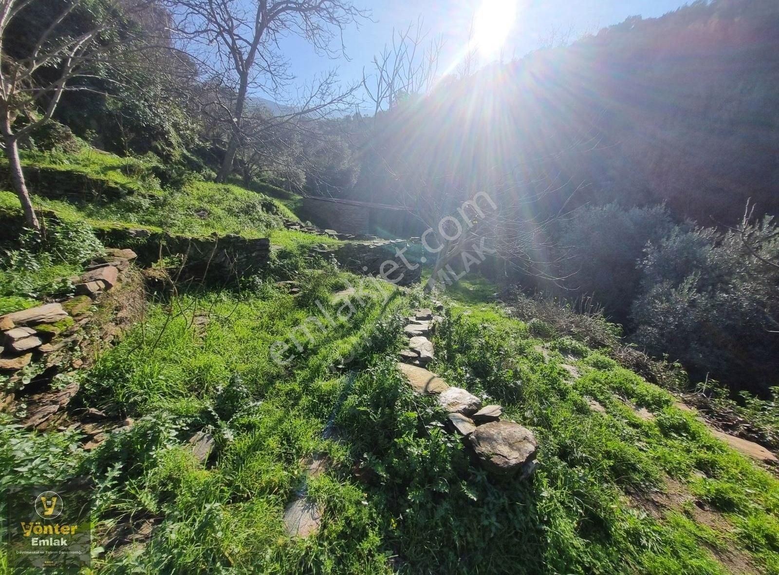 Tire Dere Satılık Bağ & Bahçe Yönter Emlaktan Satılık Derekahve Üzeri Kargır Evi Olan Bahçe