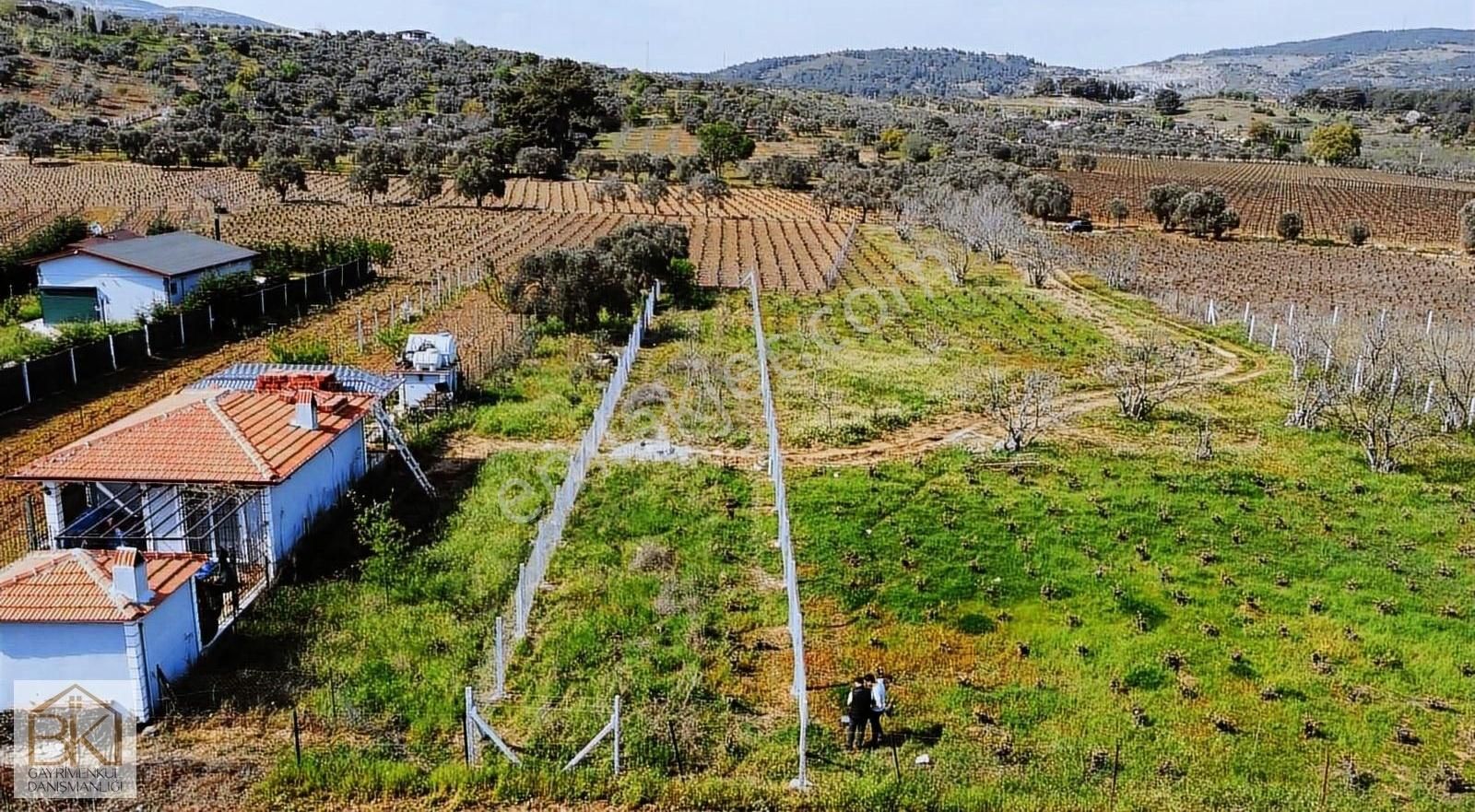 Kuşadası Çınarköy Satılık Bağ & Bahçe İzmir Selçuk Çınar Köyünde Satılık Tek Tapu Bahçe