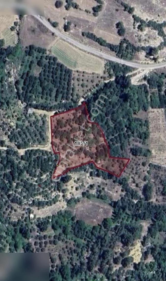 Ermenek Aşağıçağlar Köyü (Güney) Satılık Özel Kullanım Karaman Başyayla Satılık 4.334m2 Arsa