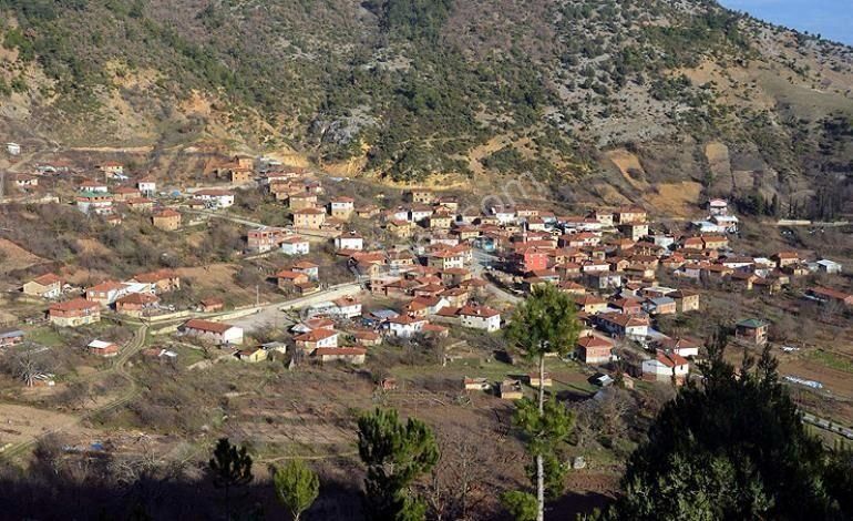 Keles Davutlar Satılık Bağ & Bahçe Bursa Keles Davutlar'da Köye Yakın Satılık Bahçe