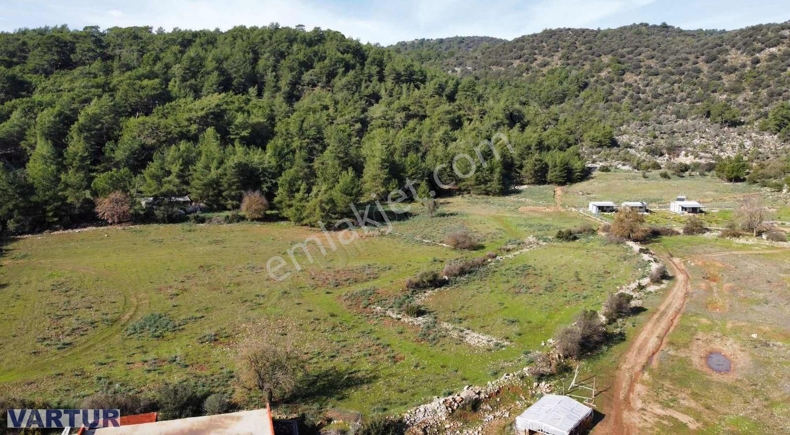 Fethiye Kayaköy'de Satılık 25 Dönüm Arazi - Görsel 6