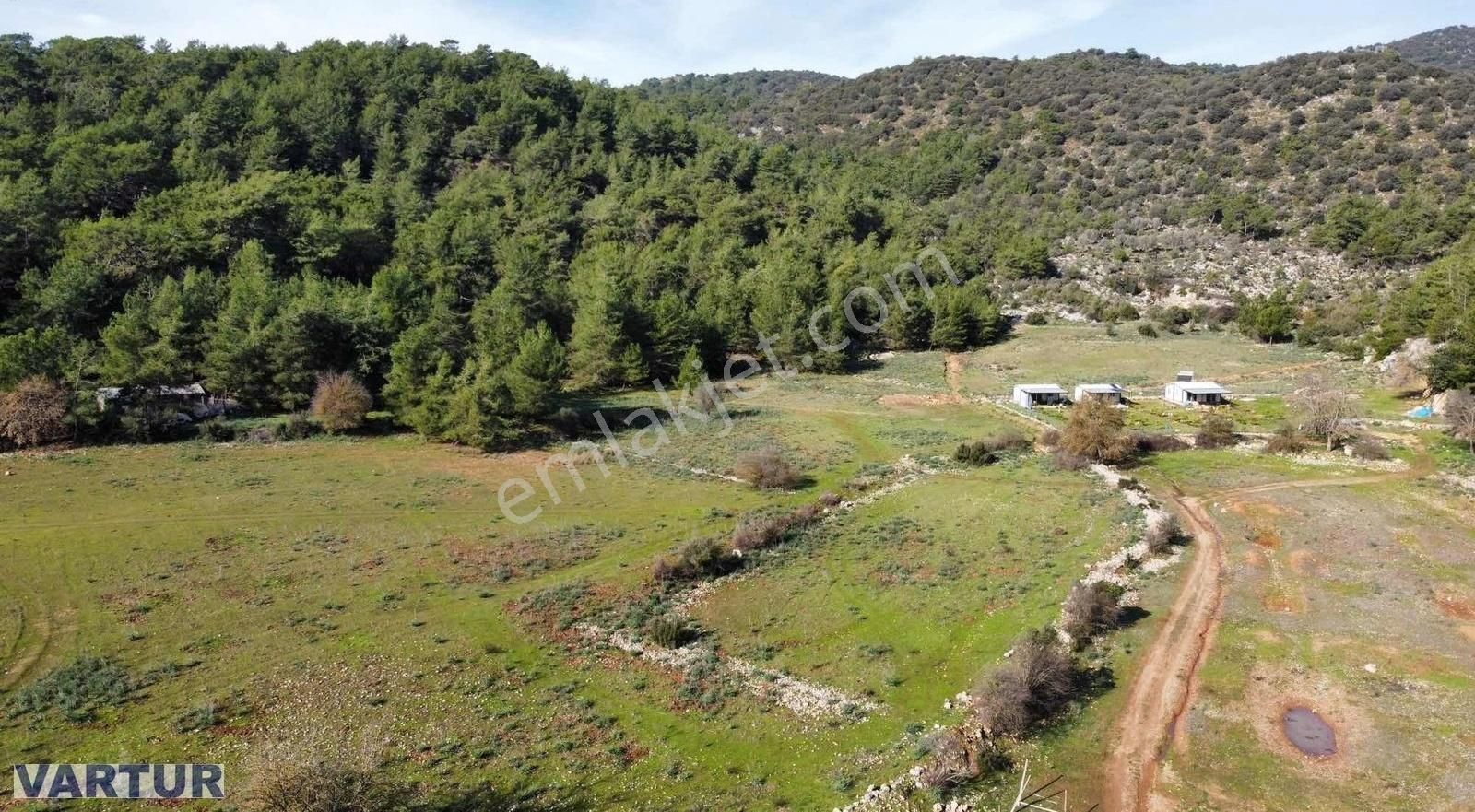 Fethiye Kayaköy'de Satılık 25 Dönüm Arazi - Görsel 5