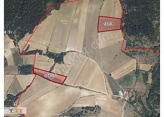 Kastamonu Merkez Baltacıkuyucağı Köyü (Aşağı Ören) Satılık Tarla Kastamonu Merkez'e 12 Km De 25.000 M2 Çiftlik İmarına Uygun Arsa