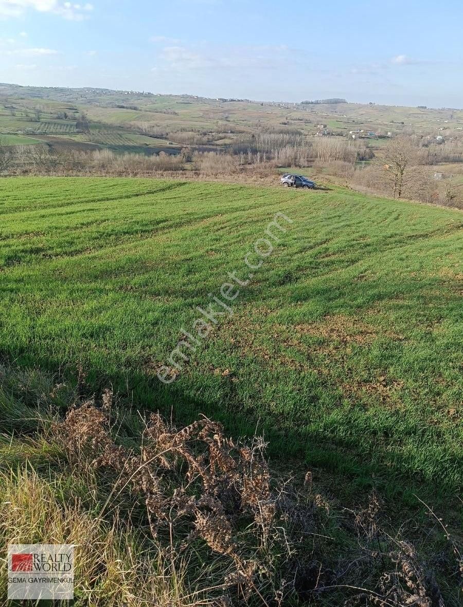 Kandıra Ahmethacılar Satılık Tarla Kandıra Ahmethacılar Köyünde Satılık Tarla