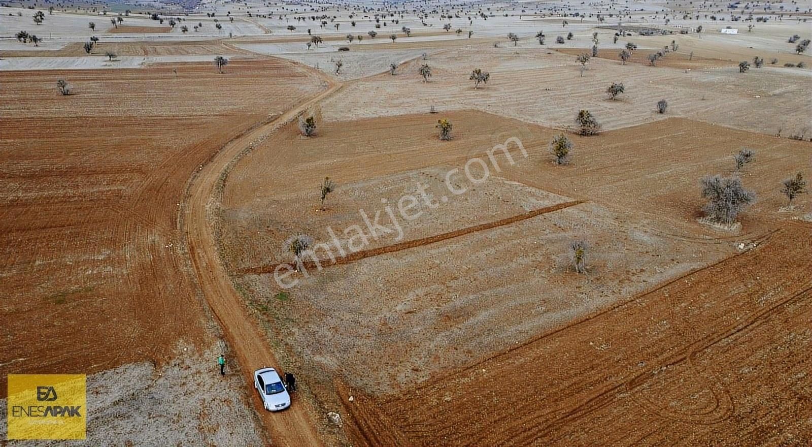 Beyşehir Yenidoğan Satılık Tarla Beyşehir Yenidoğan'da Resmi Yola Cephe Tarla