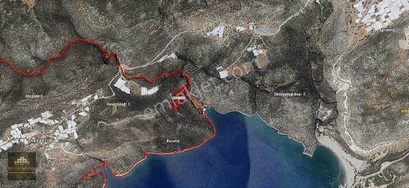 Antalya Demre Satılık Zeytinlik Antalya Demre Kapaklı'da 487 M2 Hisseli Arazi