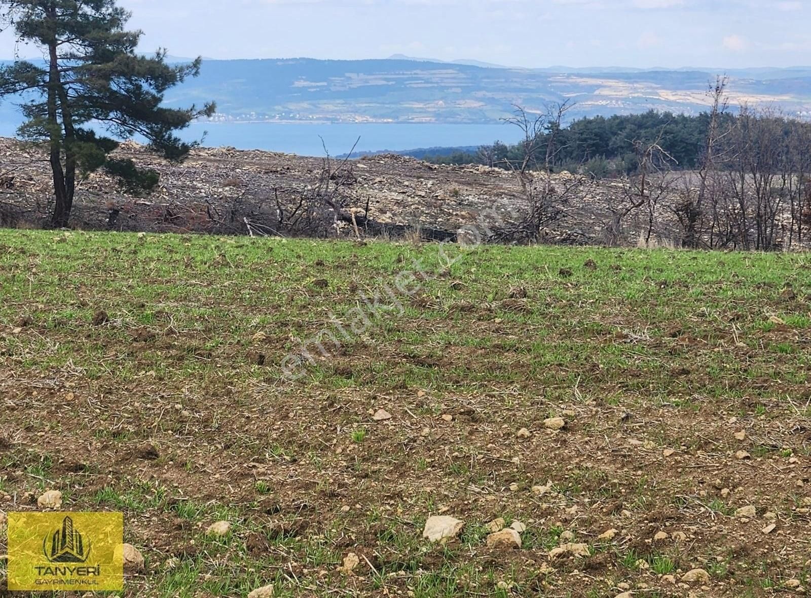 Çanakkale Merkez Yukarıokçular Köyü Satılık Tarla Çanakkale Merkez Yukarıokçular Boğaz Manzaralı 9 Dönüm Tarla.