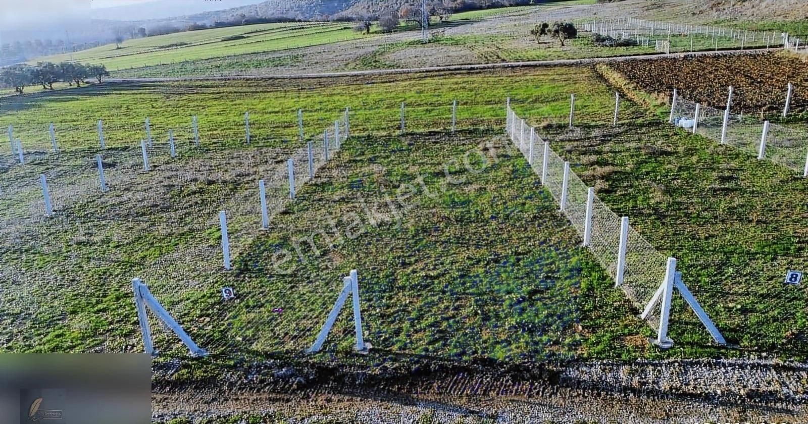 Karacabey Kedikaya Satılık Konut İmarlı Kedikaya Köyünde Köyiçi Satılık Arsalar