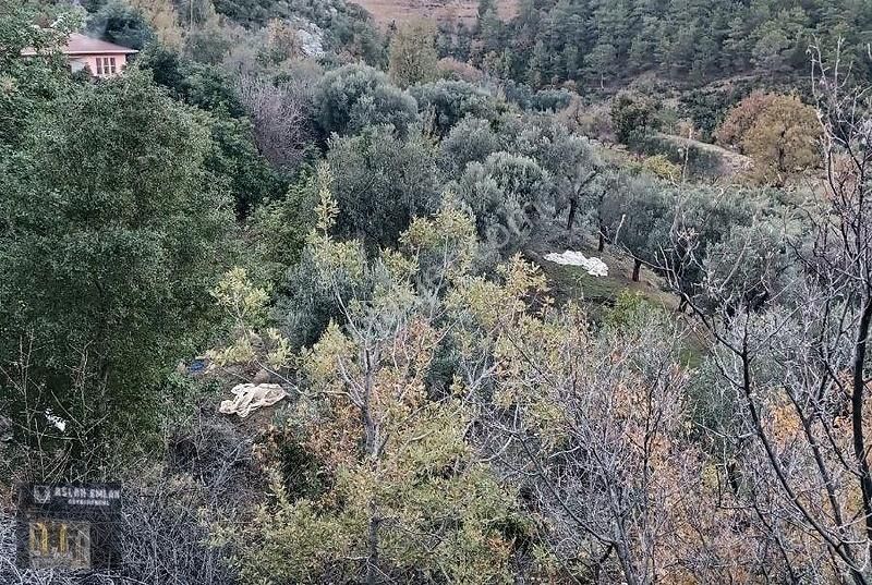 Gazipaşa İnal Satılık Tarla Antalya Gazipaşa İnal Mahallesinde Satılık 20 Dnm Bahçe Ve Ev