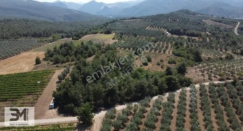 Osmaneli Ciciler Köyü Satılık Tarla Osmaneli Ciciler Yola 150 Metre Cephe,köy Merkezine 700 Metre