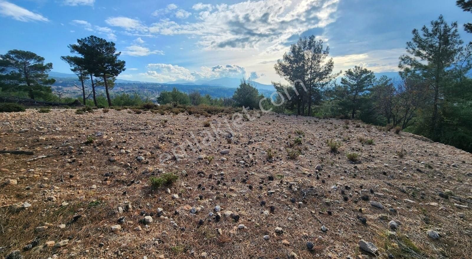 Yaka Bağlımeşe Mevkisinde 2170 M2 Manzaralı Tarla - Görsel 17
