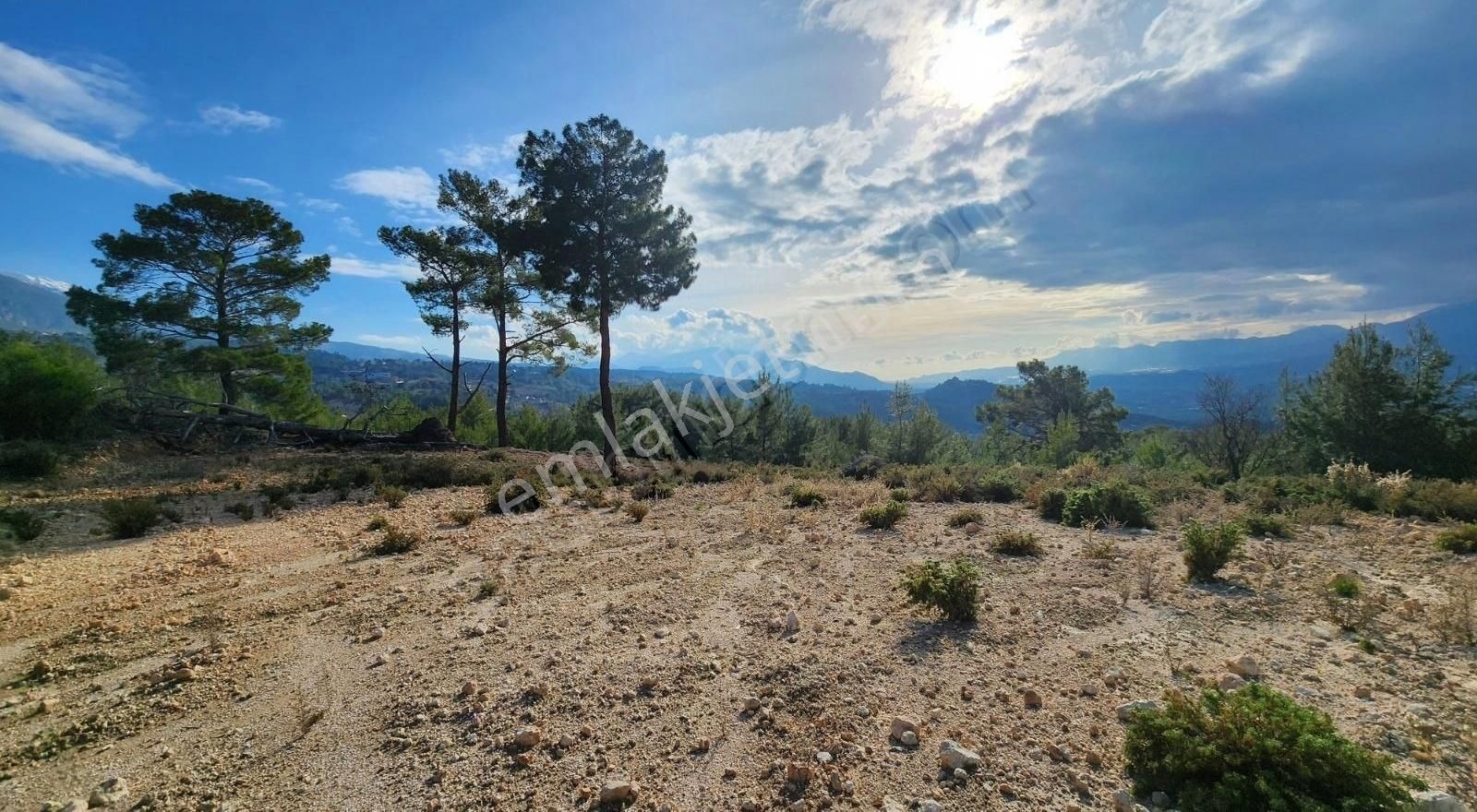Yaka Bağlımeşe Mevkisinde 2170 M2 Manzaralı Tarla - Görsel 22