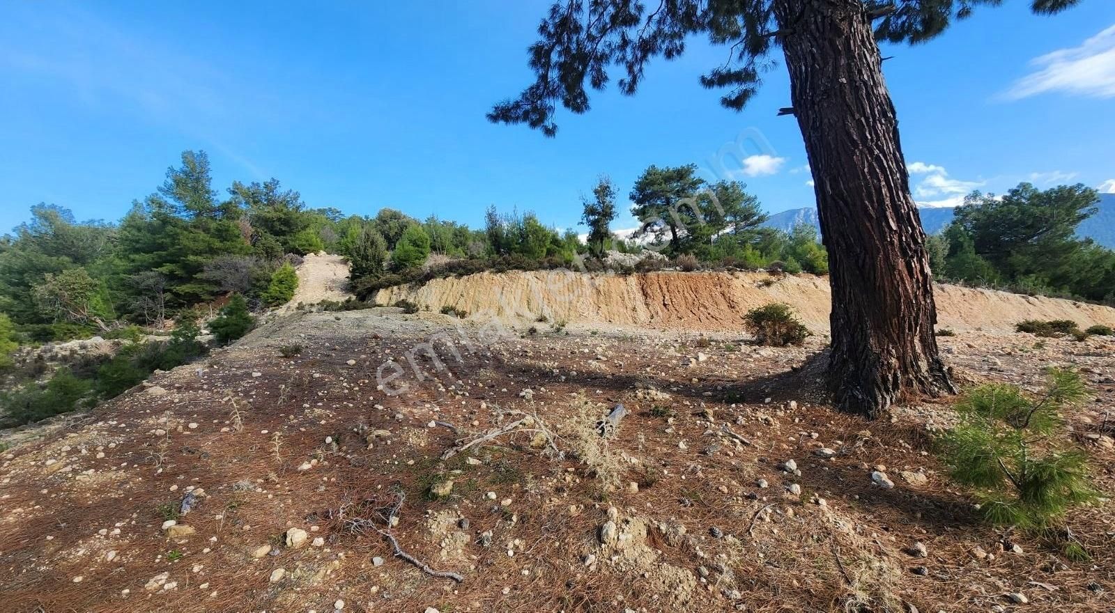 Yaka Bağlımeşe Mevkisinde 2170 M2 Manzaralı Tarla - Görsel 10