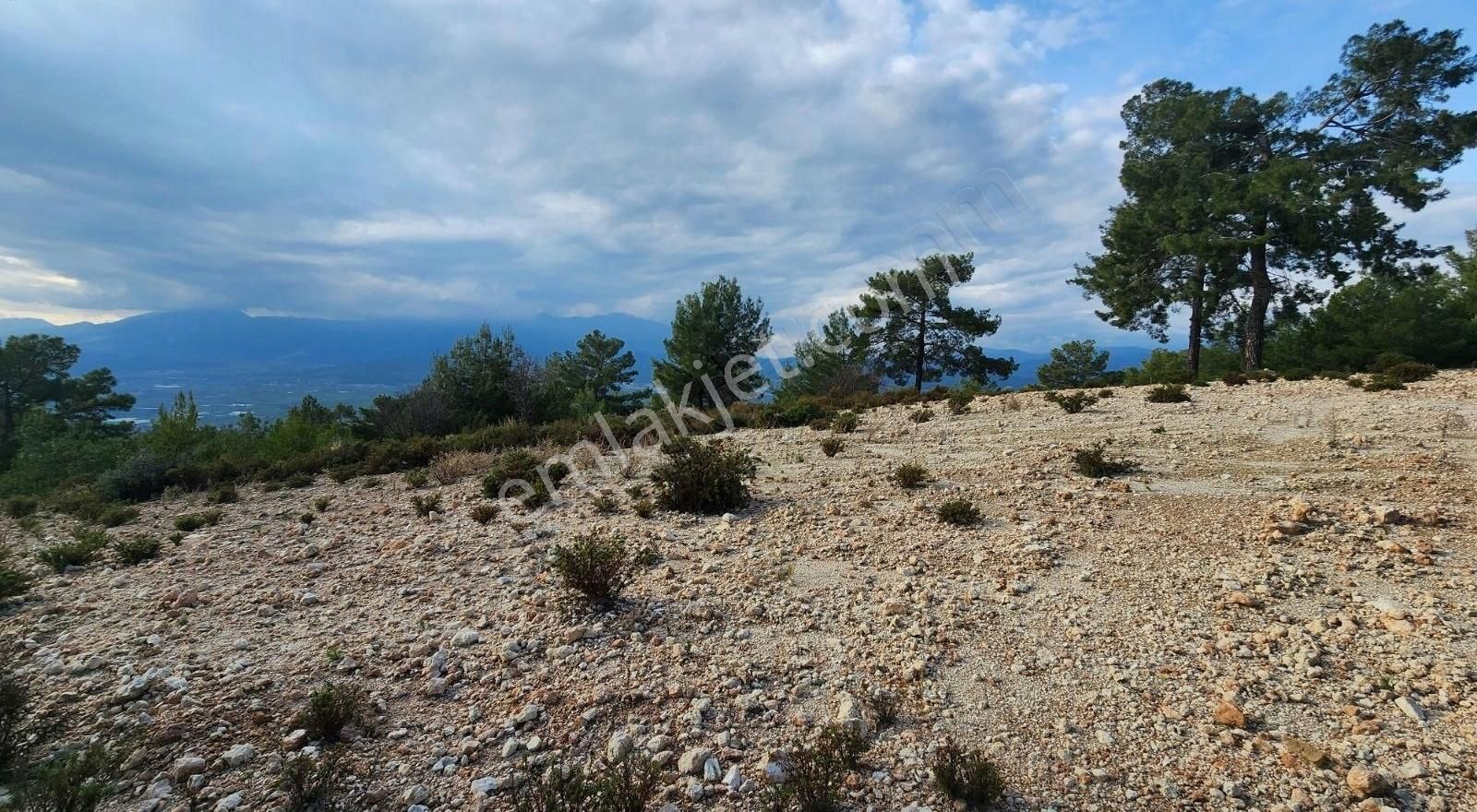 Yaka Bağlımeşe Mevkisinde 2170 M2 Manzaralı Tarla - Görsel 9
