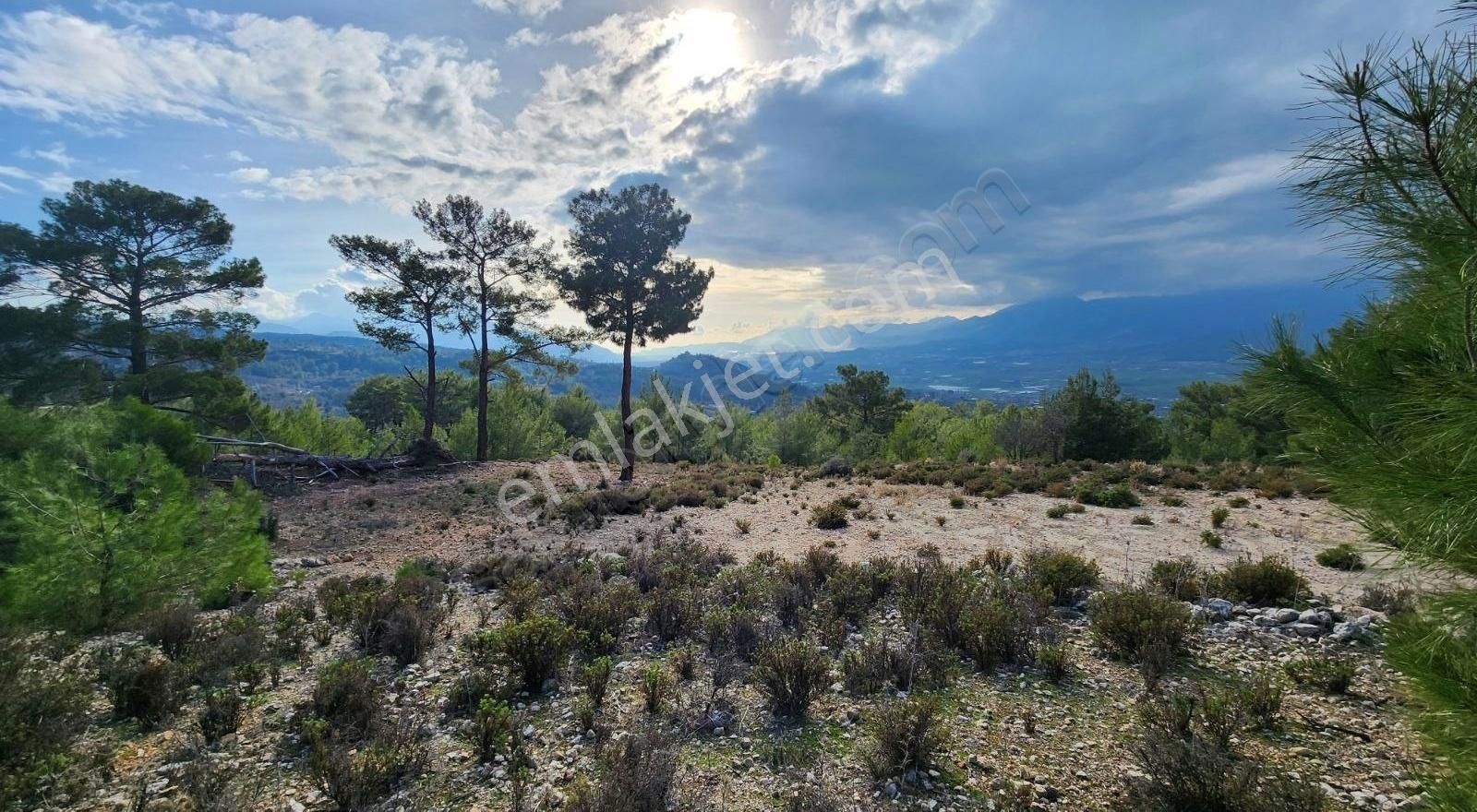 Seydikemer Yakaköy Satılık Tarla Yaka Bağlımeşe Mevkisinde 2170 M2 Manzaralı Tarla