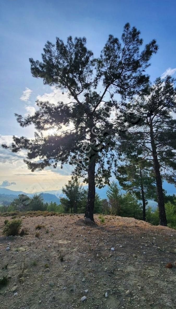 Yaka Bağlımeşe Mevkisinde 2170 M2 Manzaralı Tarla - Görsel 12