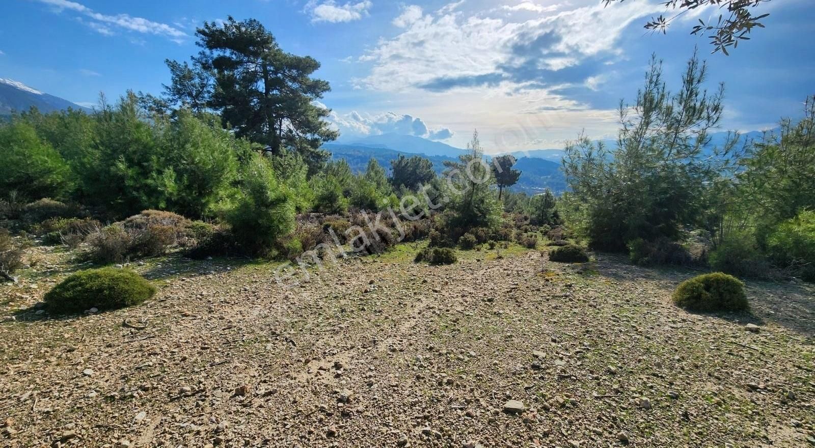 Yaka Bağlımeşe Mevkisinde 2170 M2 Manzaralı Tarla - Görsel 18
