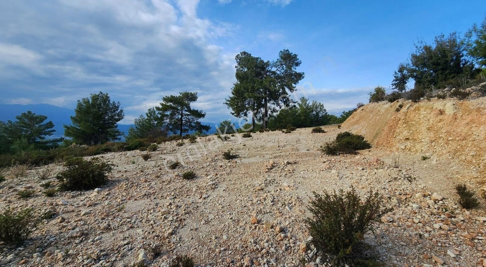 Yaka Bağlımeşe Mevkisinde 2170 M2 Manzaralı Tarla - Görsel 2