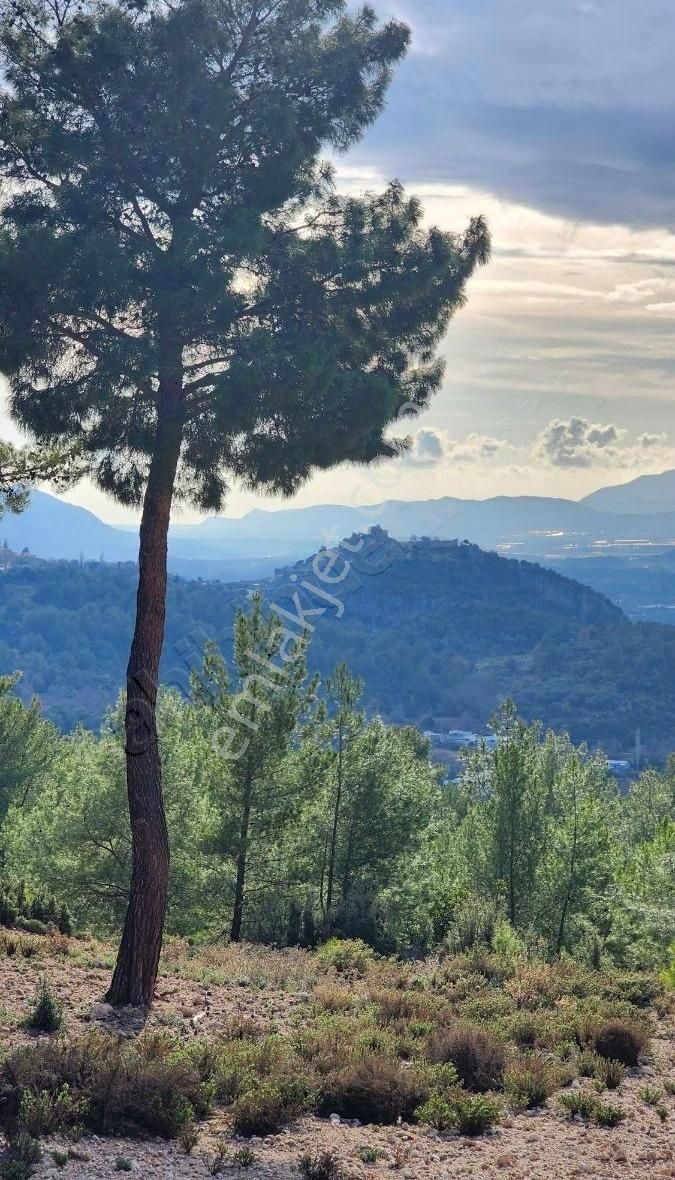 Yaka Bağlımeşe Mevkisinde 2170 M2 Manzaralı Tarla - Görsel 6