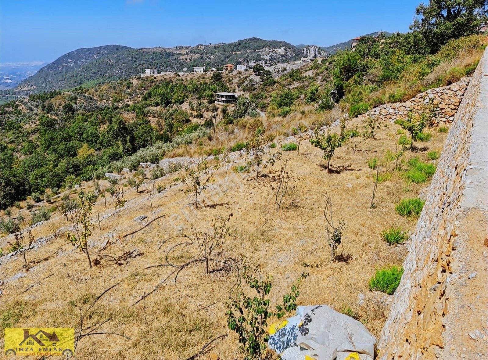 Alanya Saray Satılık Tarla Alanya Mahmutseydi Deniz Ve Doğa Manzaralı 2 Yol Arası Arsa