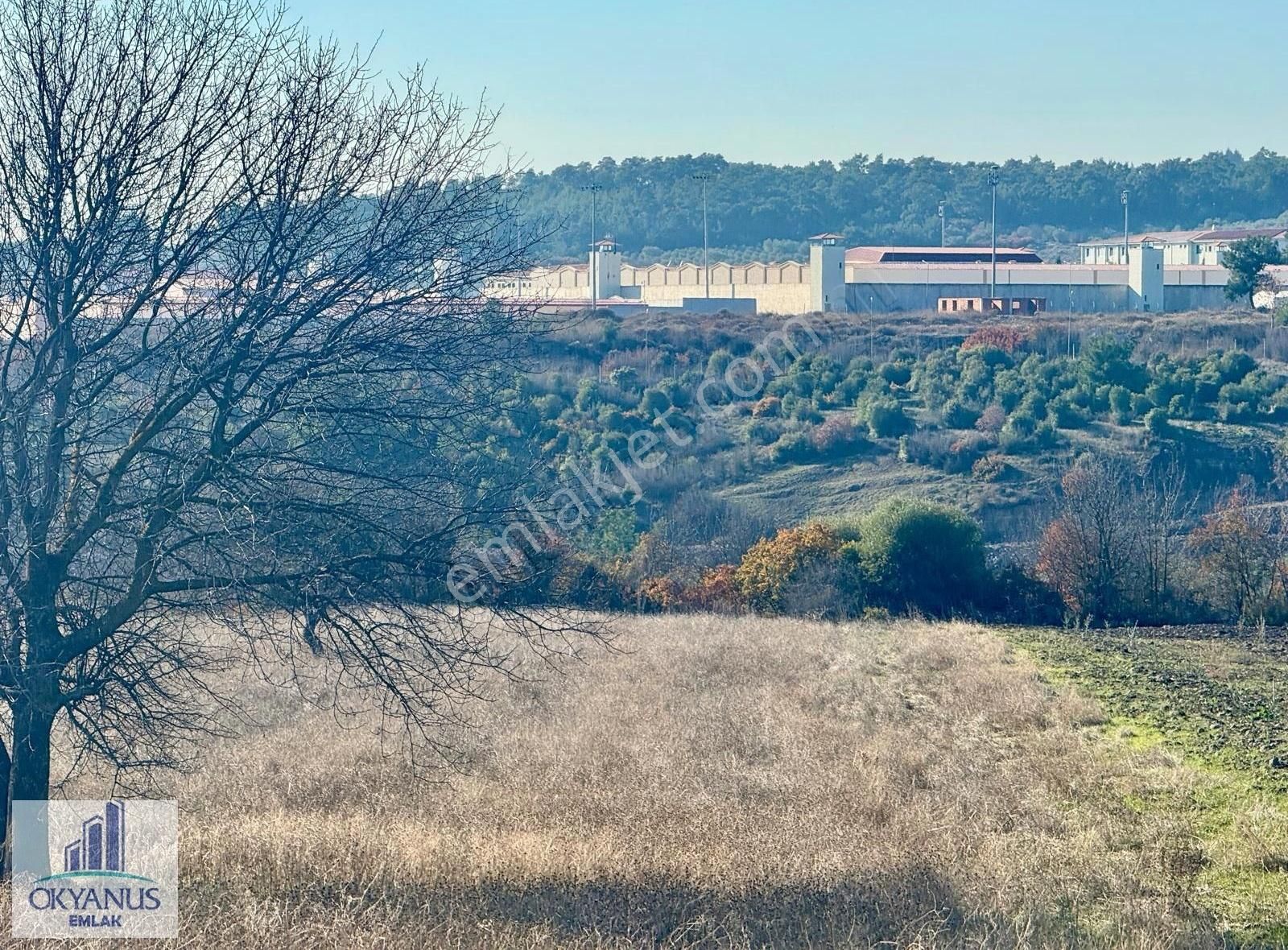 Şehzadeler Çınarlıkuyu Satılık Tarla Çınarlıkuyu Da 6.500 M2 Tarla , Asfalta 500 Mt Uzaklıkta