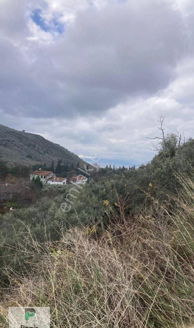 Kumla Köy İçinde Pamir Emlaktan Satılık Arsa - Görsel 5