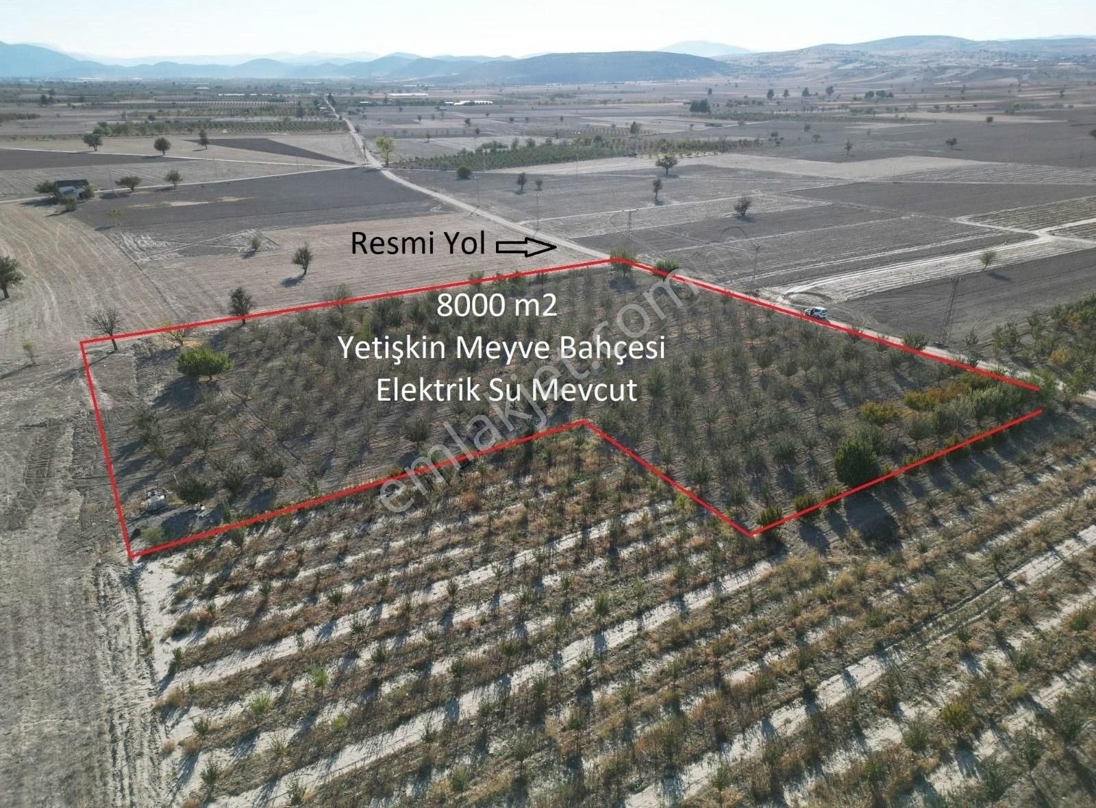 Korkuteli Küçükköy Satılık Bağ & Bahçe Korkuteli Küçükköy Ovasında 8000 M2 Yol Su Elektrik Sondaj Mevct