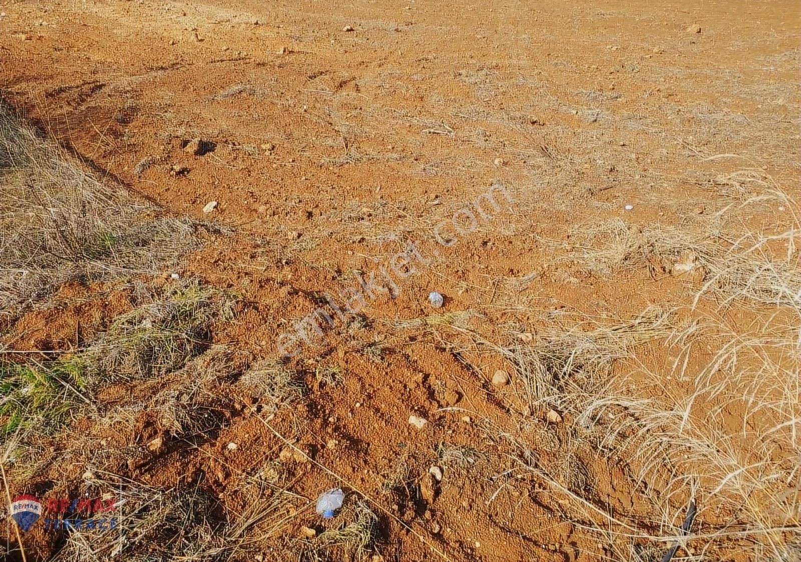 Korkuteli Akyar Satılık Tarla Antalya Korkutelinde Satılık Arazi