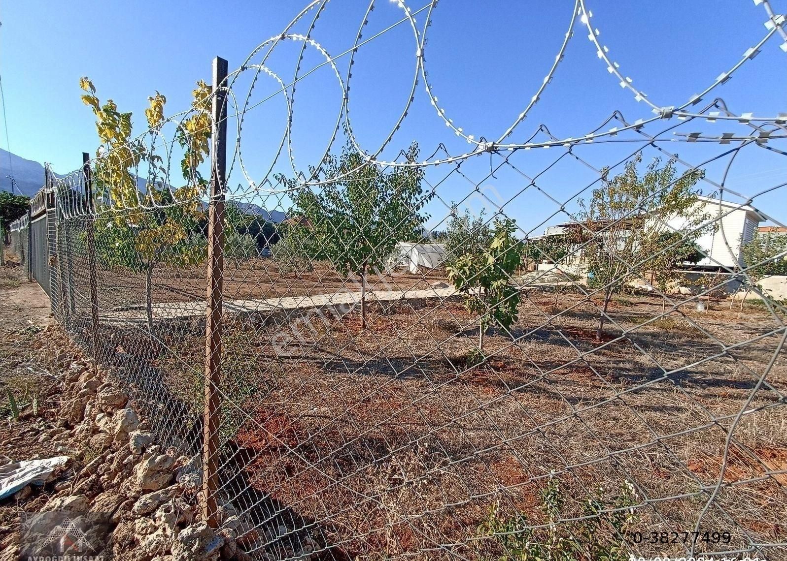 Kömürcüler De 1.300m2 Tarla - Görsel 4