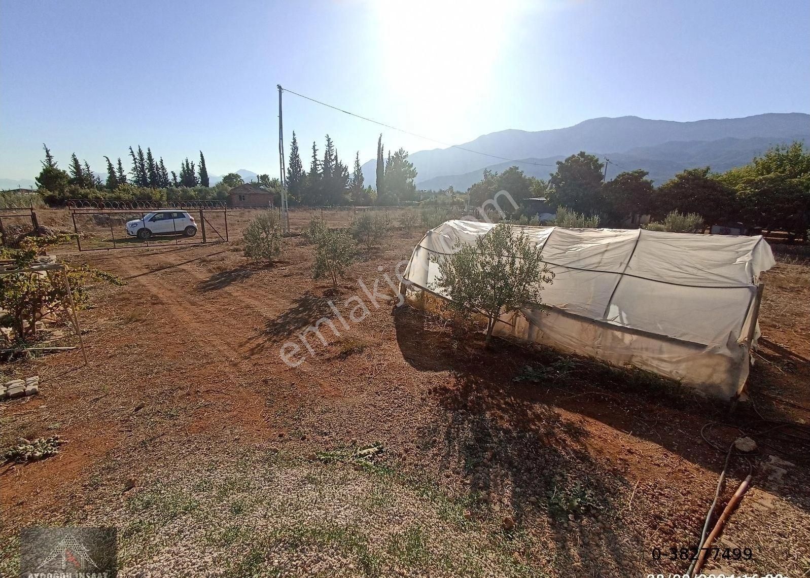 Kömürcüler De 1.300m2 Tarla - Görsel 12