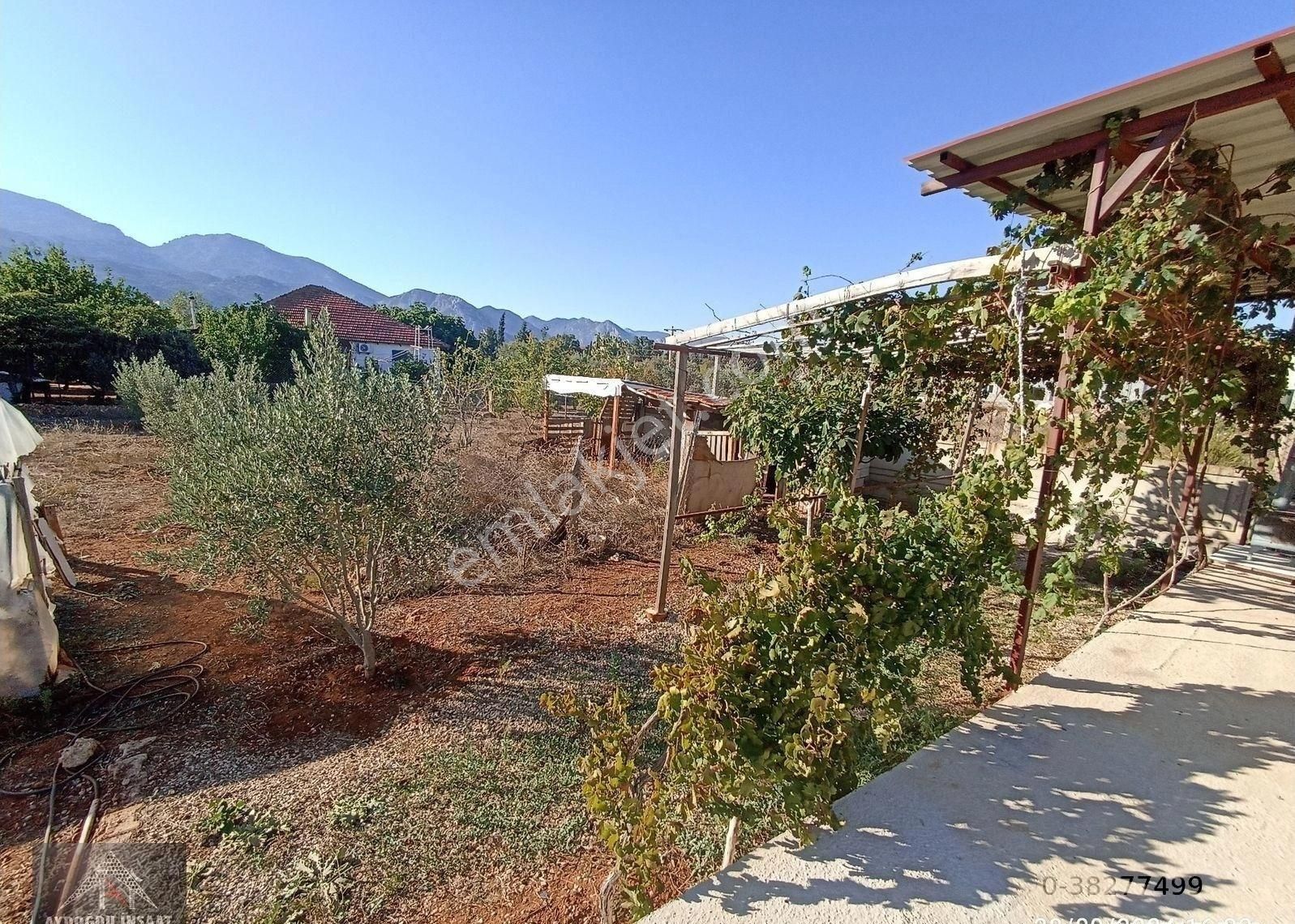 Kömürcüler De 1.300m2 Tarla - Görsel 3