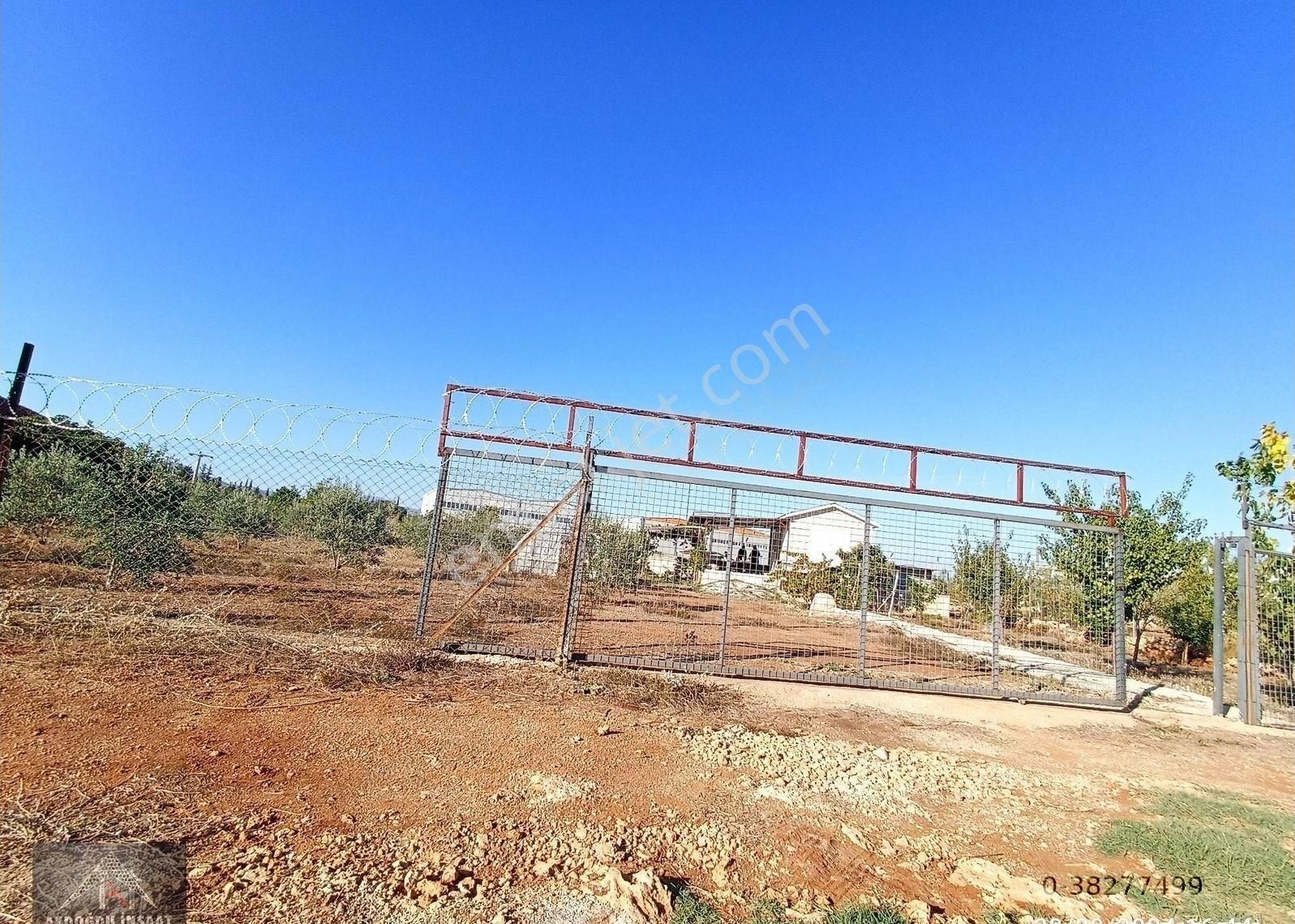 Kömürcüler De 1.300m2 Tarla - Görsel 2