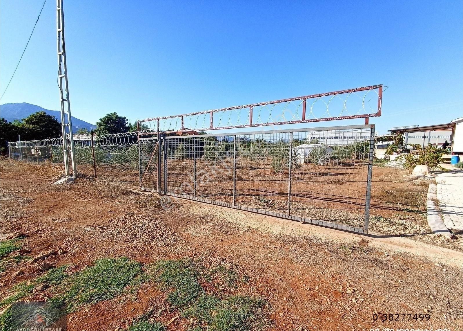 Kömürcüler De 1.300m2 Tarla - Görsel 19