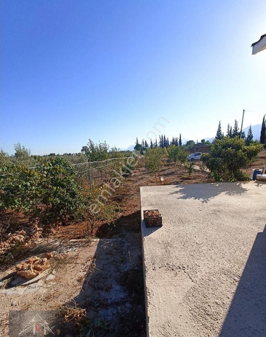 Kömürcüler De 1.300m2 Tarla - Görsel 11