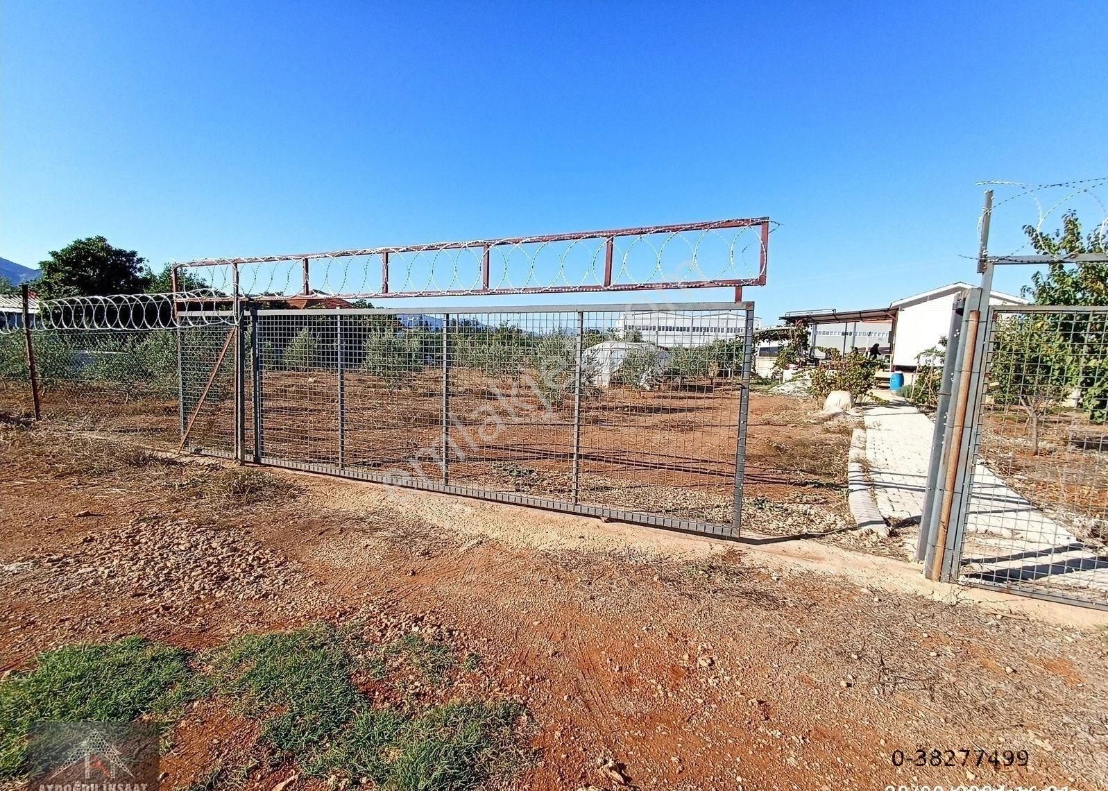 Kömürcüler De 1.300m2 Tarla - Görsel 13