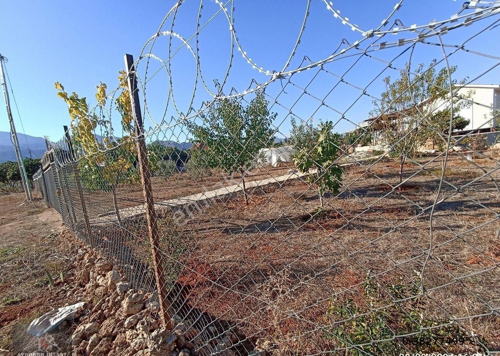 Kömürcüler De 1.300m2 Tarla - Görsel 9