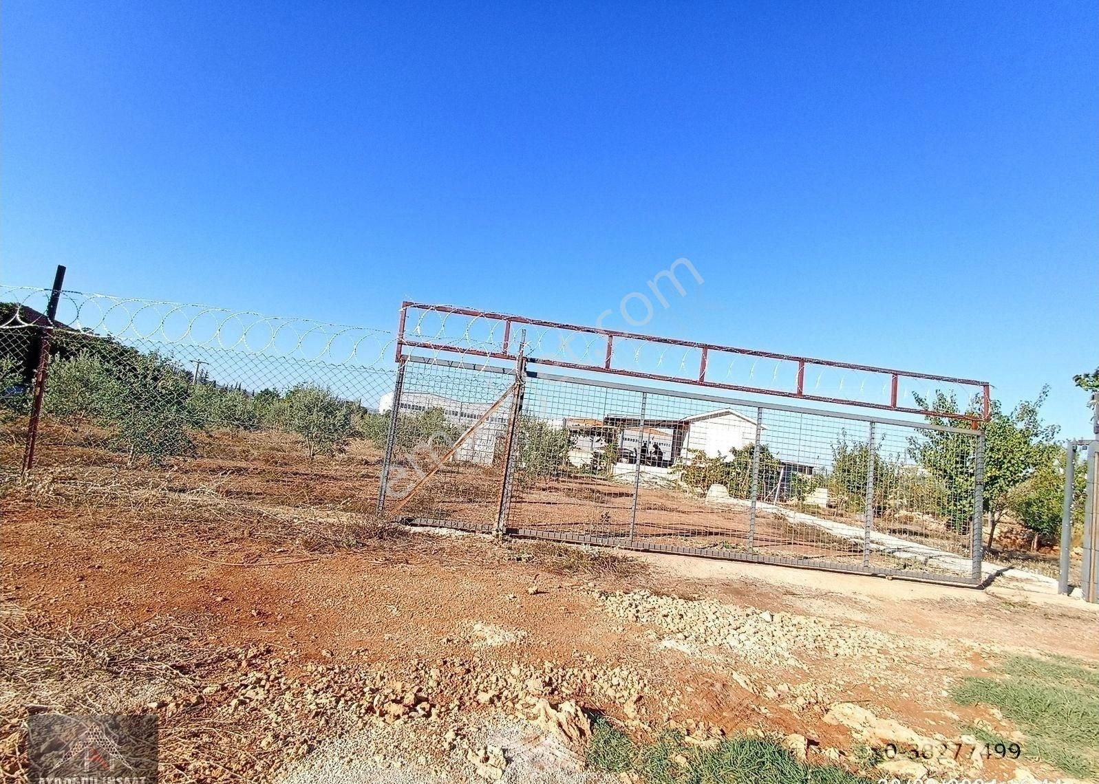 Kömürcüler De 1.300m2 Tarla - Görsel 17