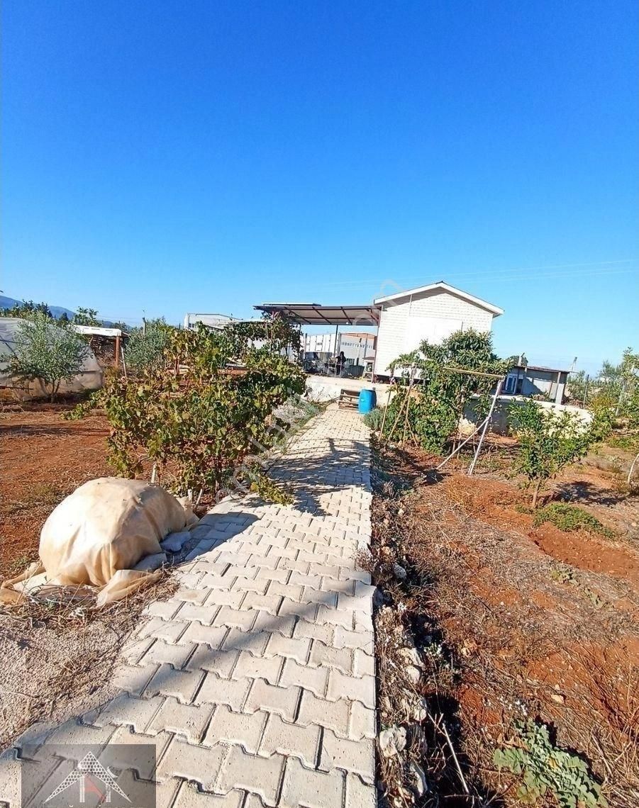 Kömürcüler De 1.300m2 Tarla - Görsel 16