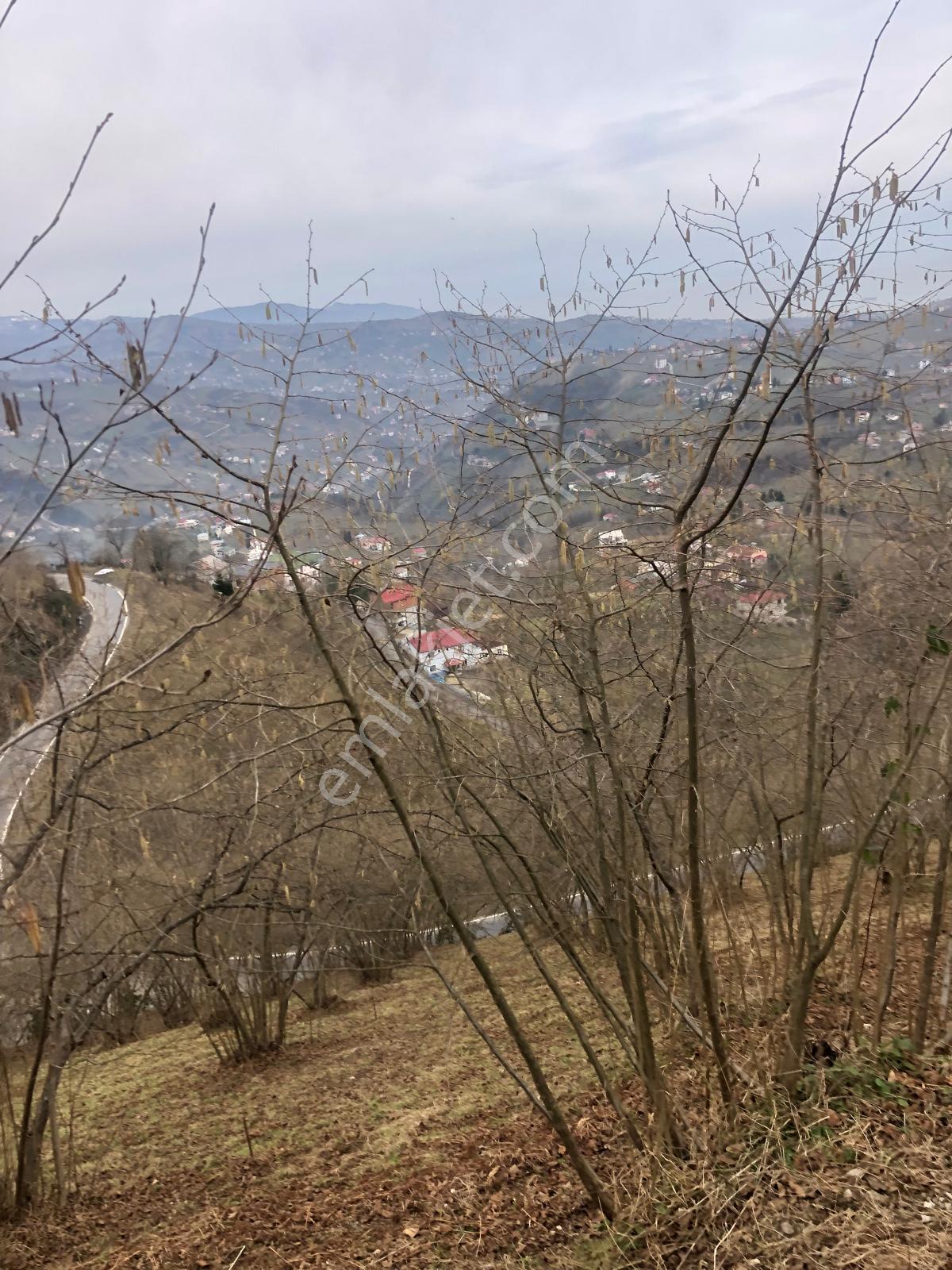 Trabzon Mağmat Geçit Mahallesi Satılık 1.320 M2 Arazi - Görsel 5